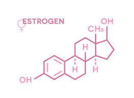 estrogen molecule.jpg