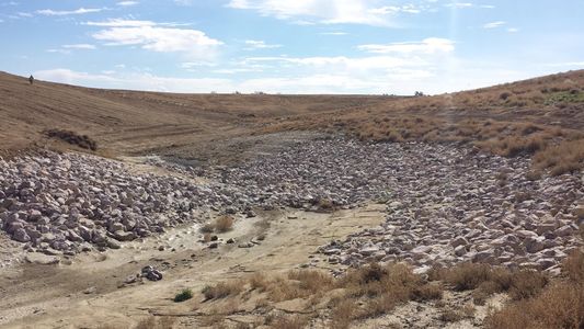 Revegetative Seeding (McKinley Mine Seeding)