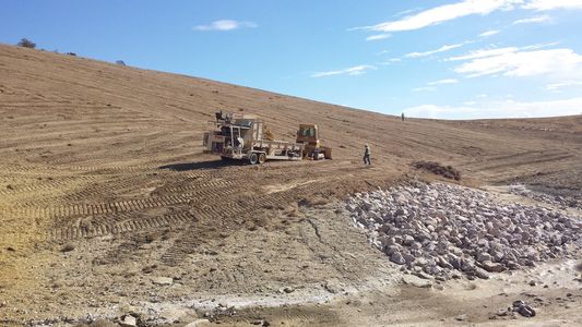 Revegetative Seeding