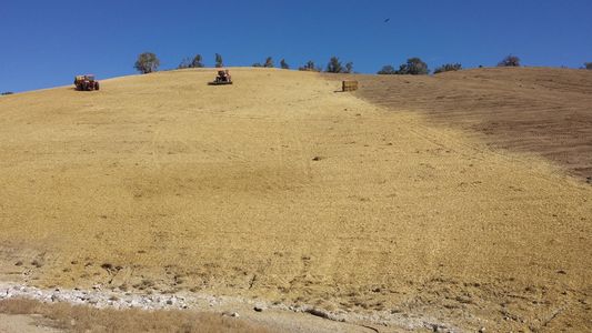 Revegetative Seeding (McKinley Mine Seeding)