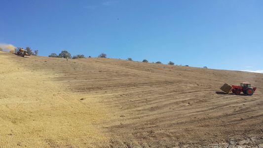Revegetative Seeding (McKinley Mine Seeding)
