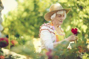 iStock_50471934_MEDIUM-300x200.jpg
