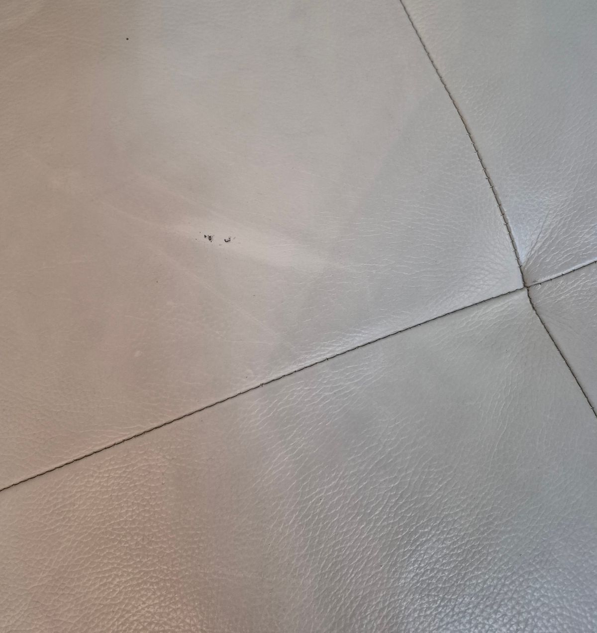 8435.jpg