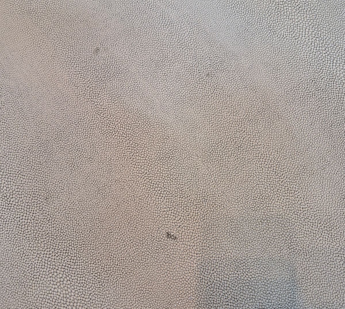 6493.jpg