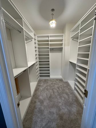 Primary clost Jaggers.JPEG