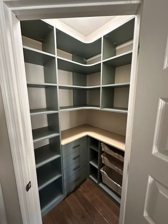 pantry celedon 3.JPEG