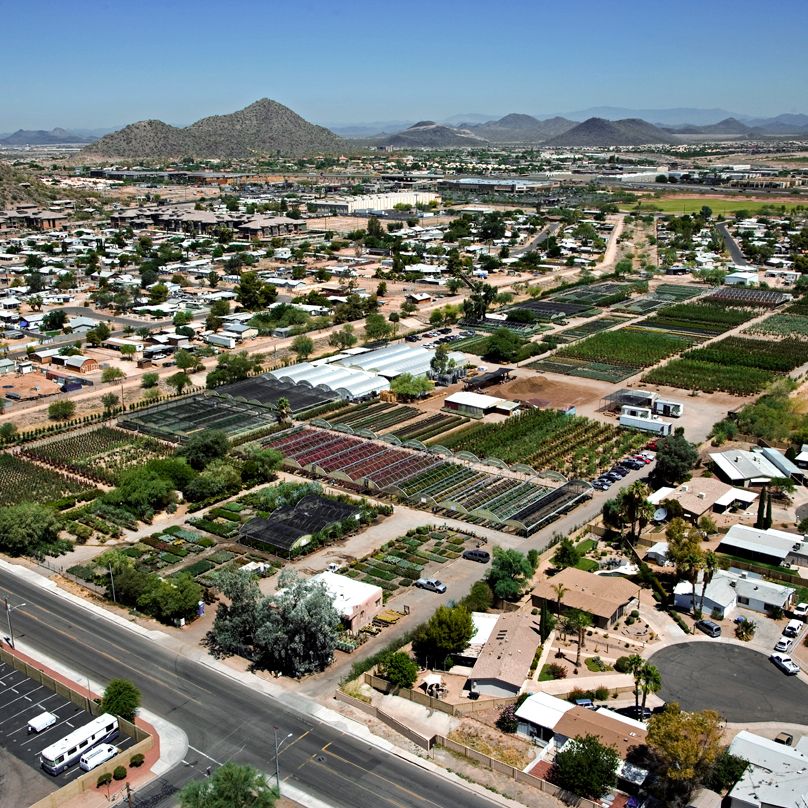 Desert Tree Farm Whole Nursery Desert Tree Farm Whole Nursery