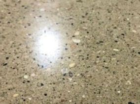 SLP Overlay_edited.jpg