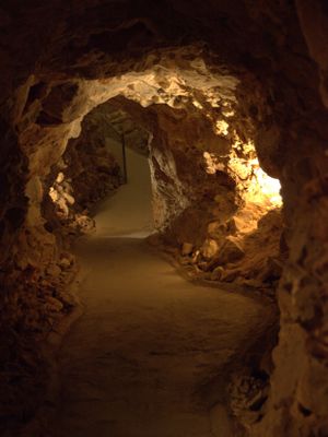 tunnel.jpg