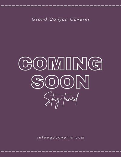 Pink and White Simple Coming Soon Flyer.jpg
