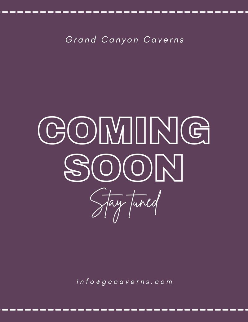 Pink and White Simple Coming Soon Flyer.jpg