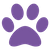 1608784_paw_icon.png