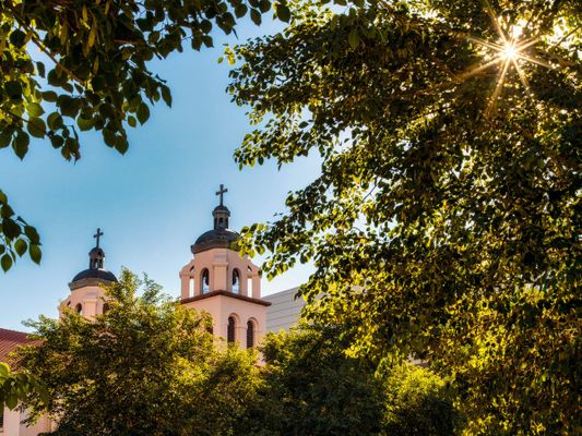 Catholic church bell towers seen through sunlit trees