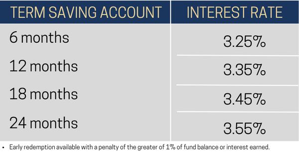 Term Savings Account.png