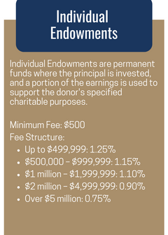 Individual Endowment.png