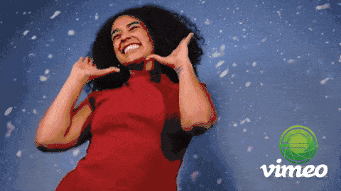 Holiday Expereince.gif